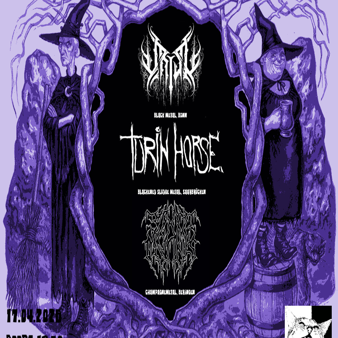 Halle am Rhein w/ 30.000 Monkeys, Turin HorseFlyer